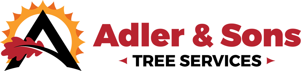 Adler & Sons